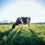 Unlock Your TikTok Potential: Discovering Reliable Sources for Boosting Your TikTok Likes